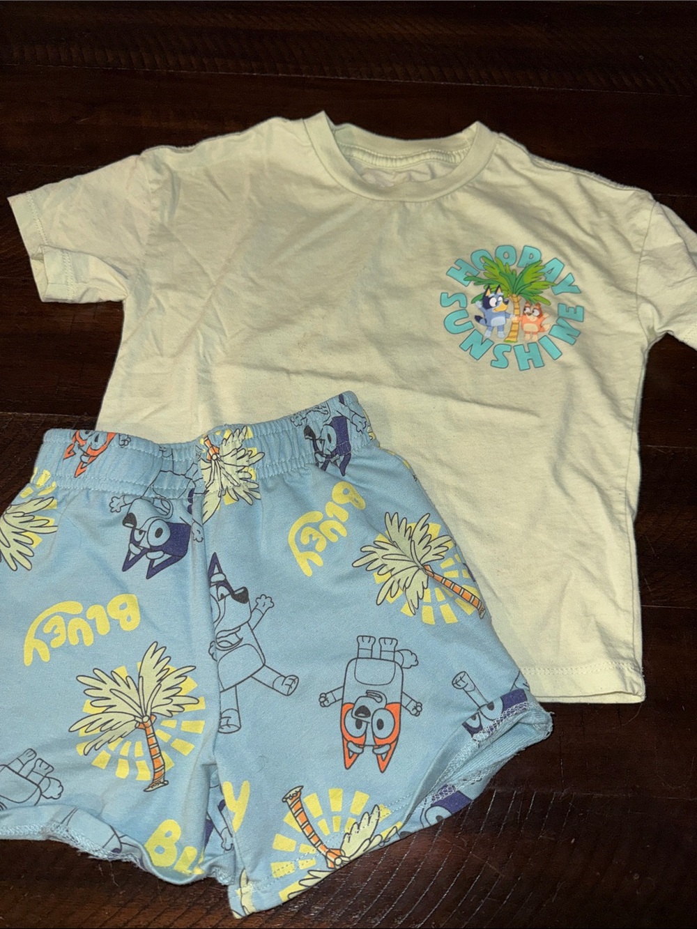 Bluey - 3T - Kids Two-Piece Tee & Shorts Set in Light Yellow & Sky Blue